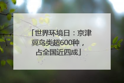 世界环境日：京津冀鸟类超600种，占全国近四成