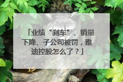 业绩“刹车”、销量下降、子公司被罚，雅迪控股怎么了？