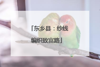 东乡县：纱线编织致富路