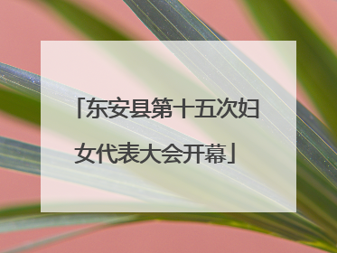 东安县第十五次妇女代表大会开幕