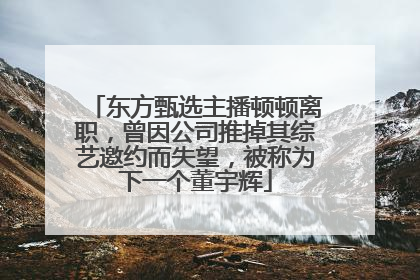 东方甄选主播顿顿离职，曾因公司推掉其综艺邀约而失望，被称为下一个董宇辉