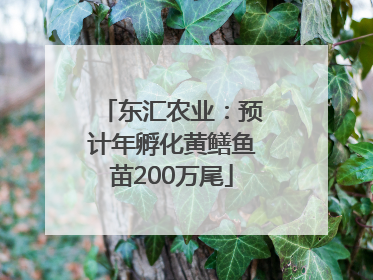 东汇农业：预计年孵化黄鳝鱼苗200万尾