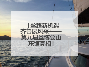 丝路新机遇 齐鲁展风采——第九届丝博会山东馆亮相