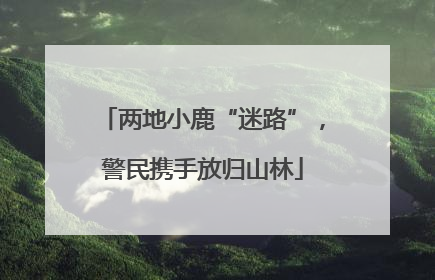 两地小鹿“迷路”，警民携手放归山林