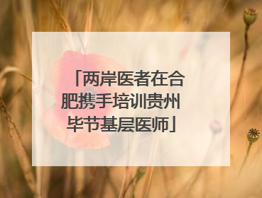 两岸医者在合肥携手培训贵州毕节基层医师