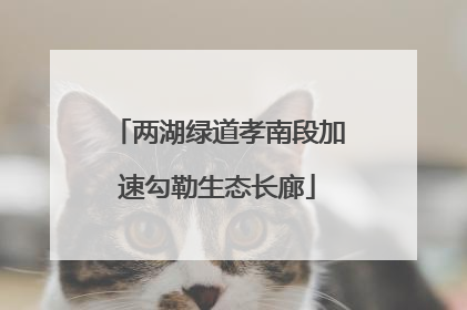 两湖绿道孝南段加速勾勒生态长廊