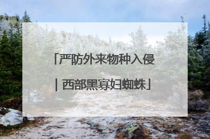 严防外来物种入侵｜西部黑寡妇蜘蛛