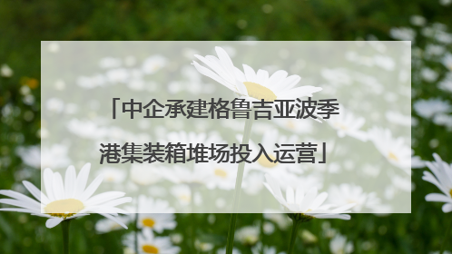 中企承建格鲁吉亚波季港集装箱堆场投入运营