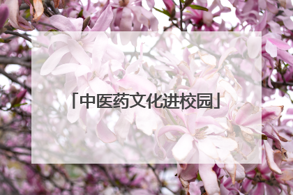 中医药文化进校园
