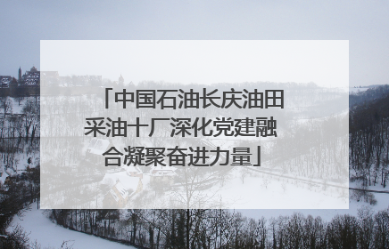 中国石油长庆油田采油十厂深化党建融合凝聚奋进力量