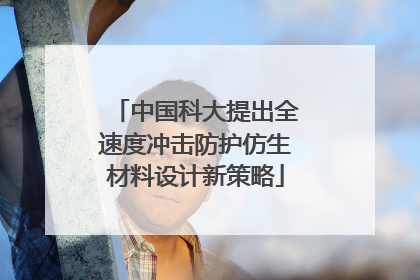 中国科大提出全速度冲击防护仿生材料设计新策略