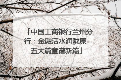 中国工商银行兰州分行：金融活水润陇原 五大篇章谱新篇