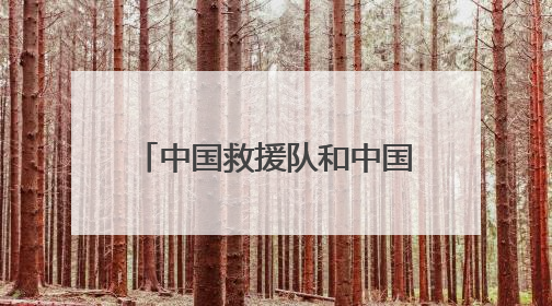 中国救援队和中国国际救援队顺利通过联合国国际重型救援队能力复测