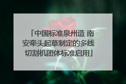 中国标准泉州造 南安牵头起草制定的多线切割机团体标准启用