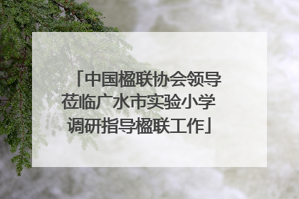 中国楹联协会领导莅临广水市实验小学调研指导楹联工作