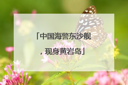 中国海警东沙舰，现身黄岩岛