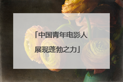 中国青年电影人展现蓬勃之力