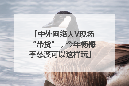 中外网络大V现场“带货”，今年杨梅季慈溪可以这样玩