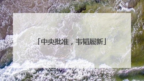 中央批准，韦韬履新
