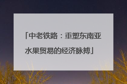 中老铁路：重塑东南亚水果贸易的经济脉搏
