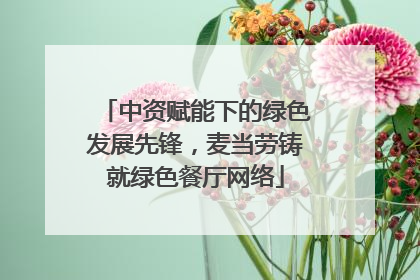 中资赋能下的绿色发展先锋，麦当劳铸就绿色餐厅网络