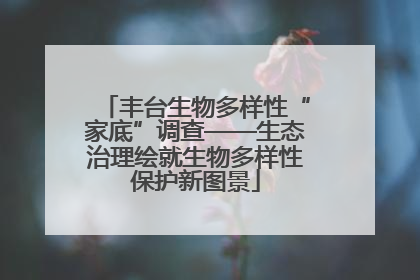 丰台生物多样性“家底”调查——生态治理绘就生物多样性保护新图景