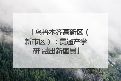 乌鲁木齐高新区（新市区）：贯通产学研 融出新图景