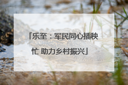 乐至：军民同心插秧忙 助力乡村振兴