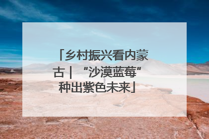 乡村振兴看内蒙古｜“沙漠蓝莓”种出紫色未来