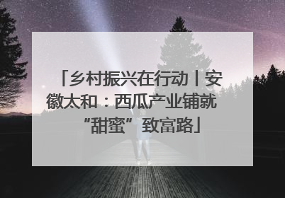 乡村振兴在行动丨安徽太和：西瓜产业铺就“甜蜜”致富路
