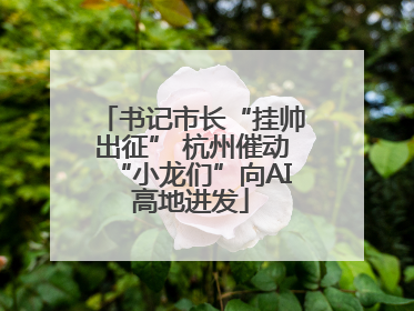书记市长“挂帅出征” 杭州催动“小龙们”向AI高地进发