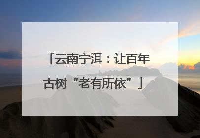 云南宁洱：让百年古树“老有所依”