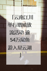 云南江川举行增殖放流活动 逾54万尾鱼游入星云湖