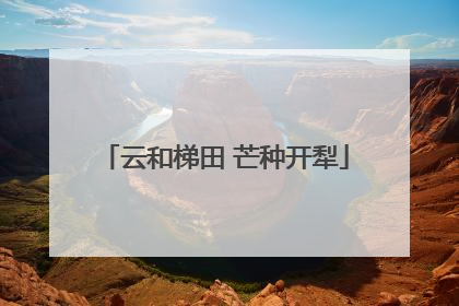 云和梯田 芒种开犁