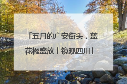 五月的广安街头，蓝花楹盛放丨镜观四川
