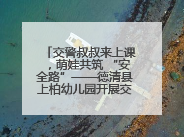 交警叔叔来上课，萌娃共筑 “安全路”——德清县上柏幼儿园开展交通安全课