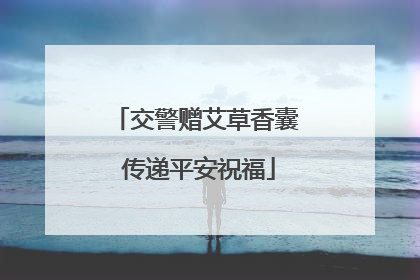 交警赠艾草香囊 传递平安祝福