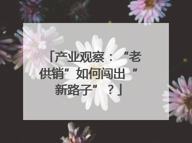 产业观察：“老供销”如何闯出“新路子”？