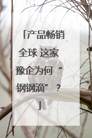产品畅销全球 这家豫企为何“钢钢滴”？