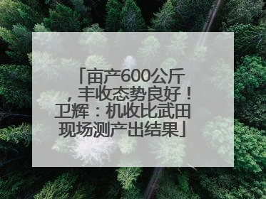 亩产600公斤，丰收态势良好！卫辉：机收比武田现场测产出结果