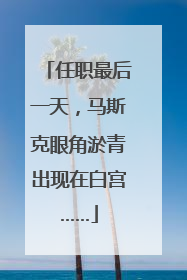 任职最后一天，马斯克眼角淤青出现在白宫……