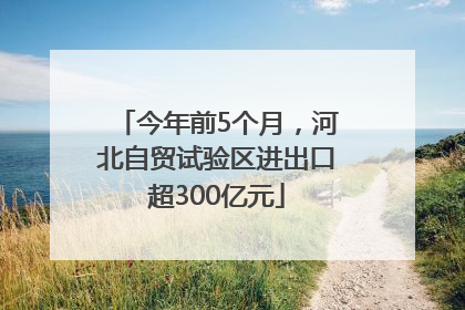 今年前5个月，河北自贸试验区进出口超300亿元