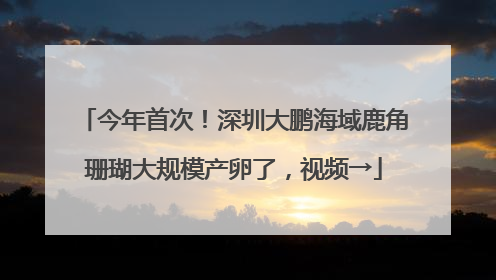今年首次！深圳大鹏海域鹿角珊瑚大规模产卵了，视频→