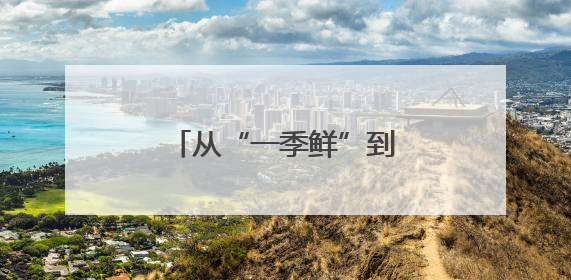 从“一季鲜”到“四季香” 十堰茶产业冲刺百亿