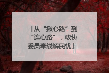 从“揪心路”到“连心路”，政协委员牵线解民忧