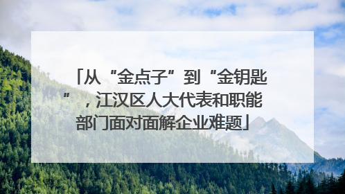 从“金点子”到“金钥匙”，江汉区人大代表和职能部门面对面解企业难题