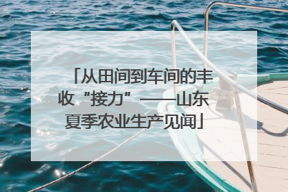 从田间到车间的丰收“接力”——山东夏季农业生产见闻
