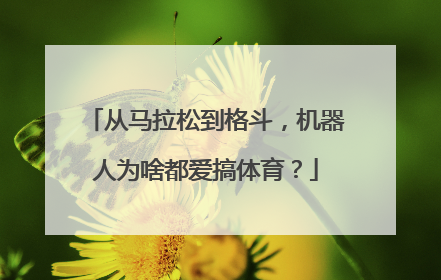 从马拉松到格斗，机器人为啥都爱搞体育？