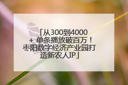 从300到4000+ 单条播放破百万！枣阳数字经济产业园打造新农人IP