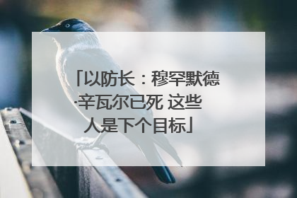 以防长：穆罕默德·辛瓦尔已死 这些人是下个目标
